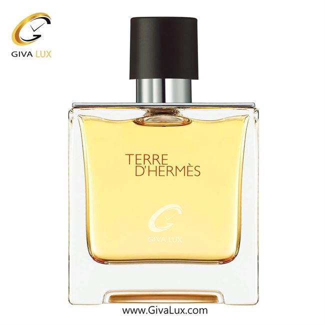  ادو پرفیوم  زنانه  اورجینال مدل Hermès Barénia | هرمس بارنیا حجم  100 میل Hermès Terre d'Hermes Parfum_1.jpg